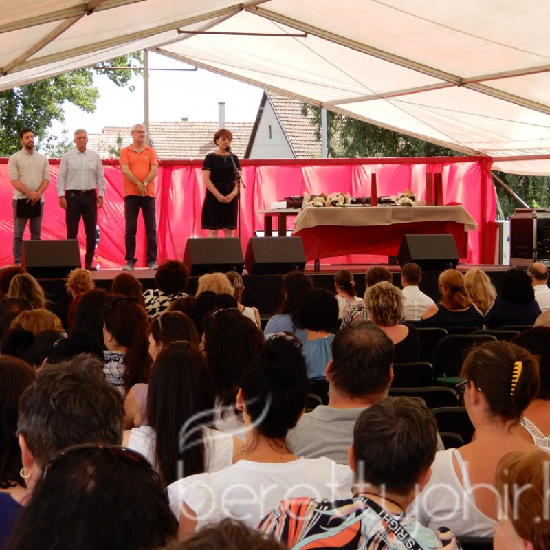 Semmelweis napi party 41